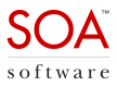 SOA Governance Training in Turkey