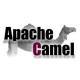 Türkiye Merkezli Apache Camel Eğitimleri