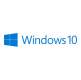Windows Yetkili