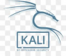 Türkiye Merkezli Kali Linux Eğitimleri