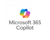 Category for Microsoft 365 Copilot Training in Turkey
