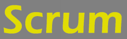 Scrum Training in Turkey