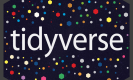 Tidyverse Training in Turkey