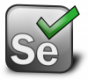 Web Uygulama Testi (Web Application Testing)