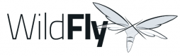 Wildfly Training in Turkey